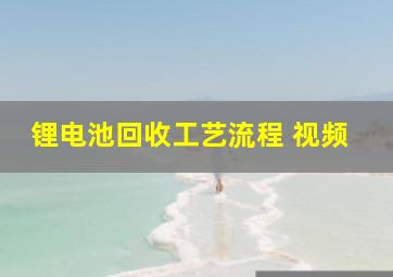 锂电池回收工艺流程 视频